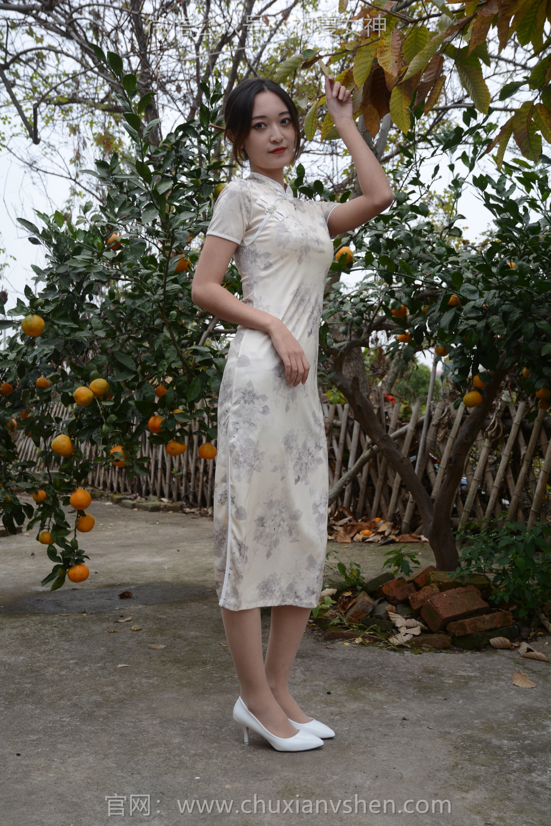 初夏女神 NO.120 依依 寒冬旗袍风 1